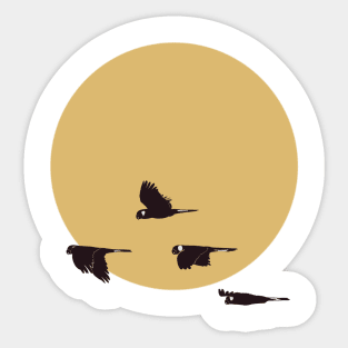 Cockatoos and sun Sticker